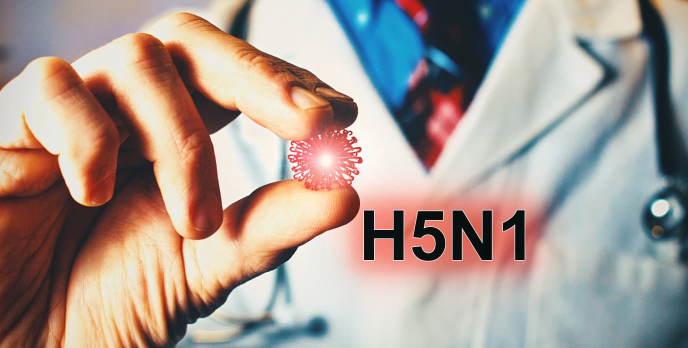 Yeni pandemiya təhlükəsi: Alimlər H5N1 virusunun yayılmasından narahatdır