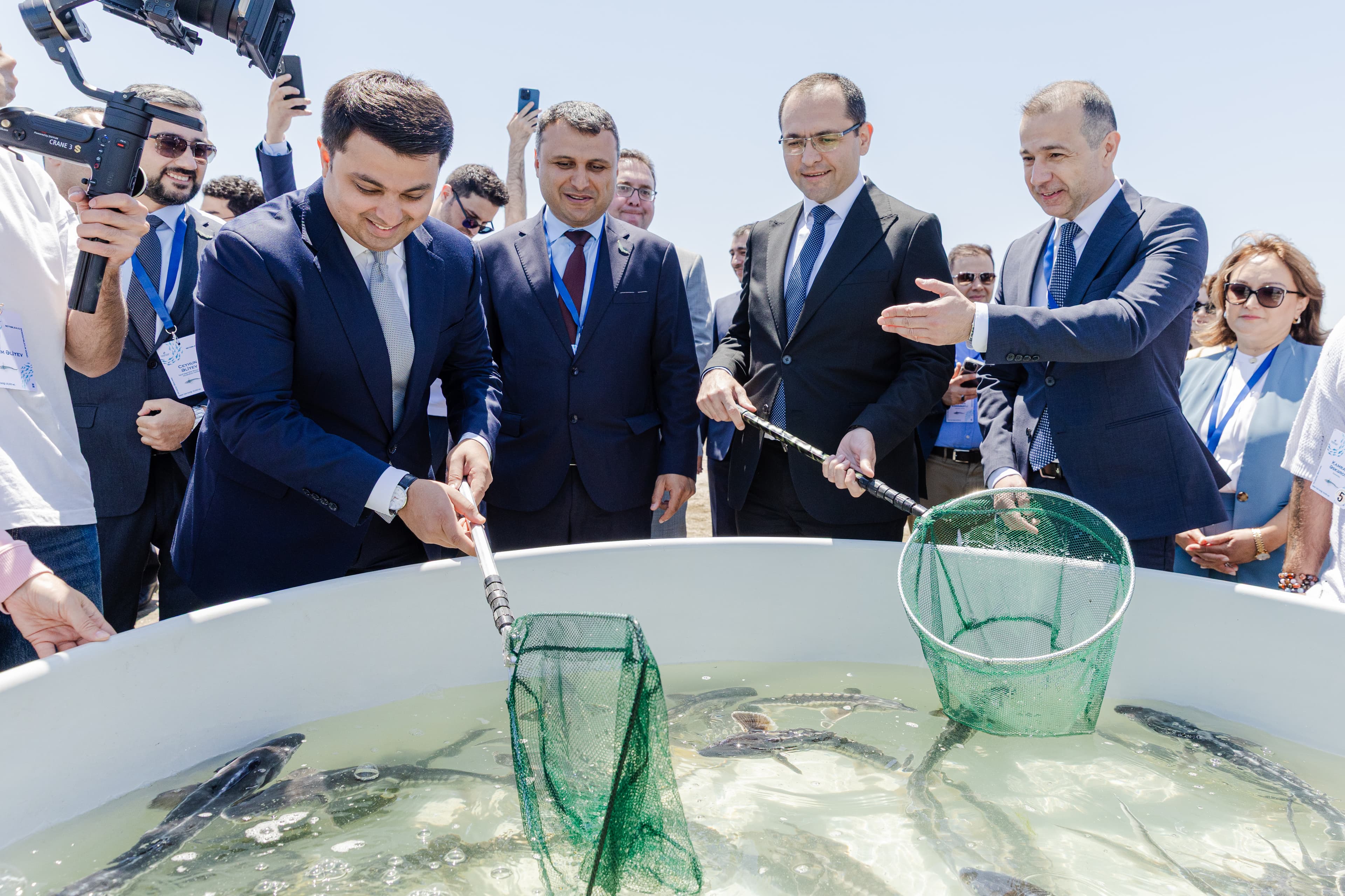 Xəzər dənizinə 100 000 nərə və 20 000 Xəzər qızılbalığı buraxılıb