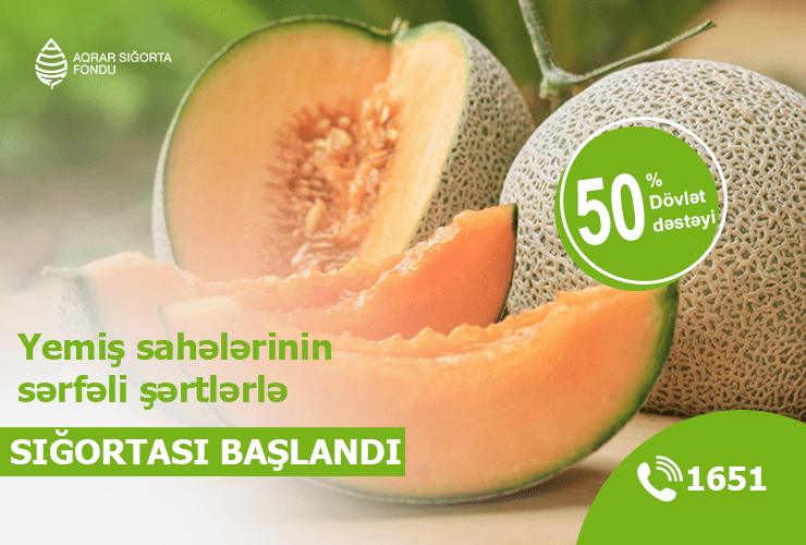 Yemiş sahələrinin sərfəli şərtlərlə sığortası başlandı – ŞƏRTLƏR, MƏBLƏĞLƏR