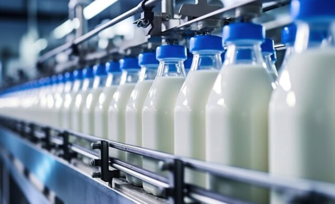 H&N müasir süd məhsullarının istehsalını 27%, ənənəvi süd məhsullarının istehsalını 14% artırıb