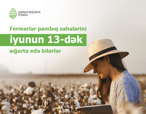 Pambıq sahələrinin sığortası iyunun 13-dək davam edəcək