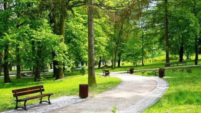 TENDER:Parkının tikintisi üçün 8.75 mln. manatlıq satınalma