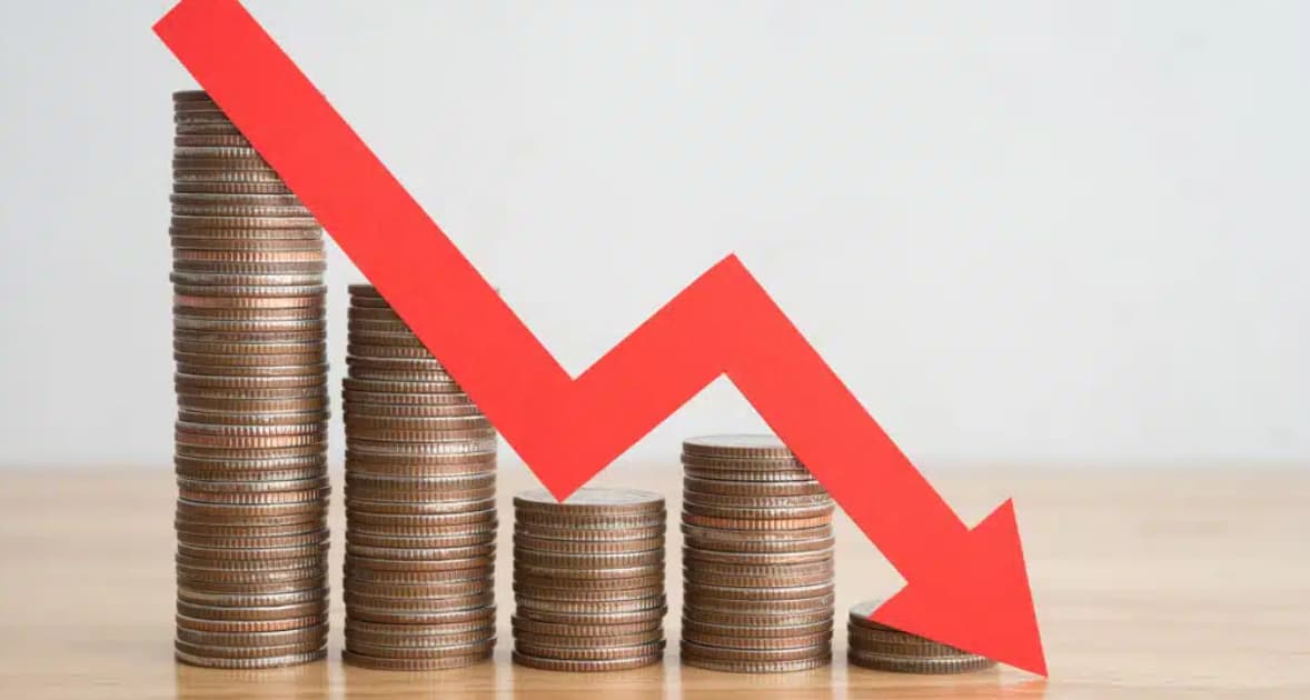 Qlobal birbaşa investisiyalar 2024-cü ildə 11% azalacaq