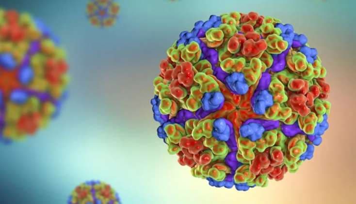 Çində Quanqdun əyalətində 336 yeni çikungunya xəstəliyi halı qeydə alındı — Epidemiya riski qalır