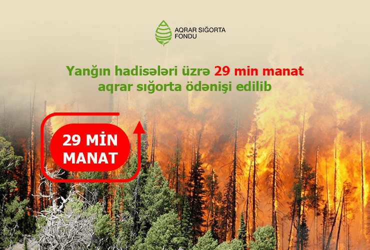 Aqrar Sığorta Fondu yanğın hadisələri üzrə fermerlərə 29 min manat ödəniş edib
