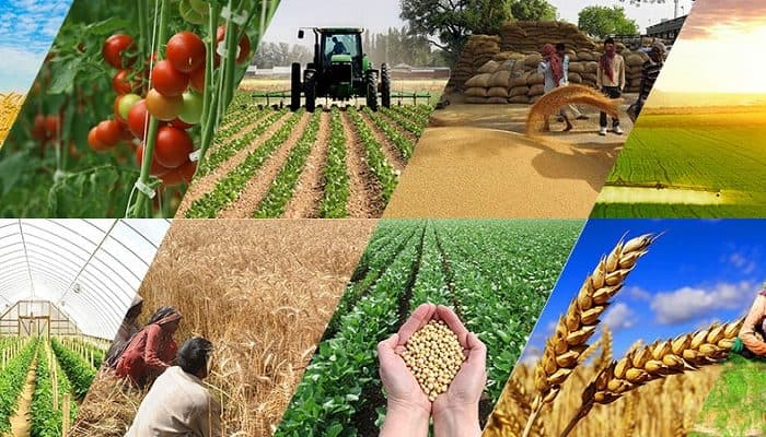 Regionlarda perspektivli biznes ideyaları və ilkin investisiya imkanları - CƏDVƏL