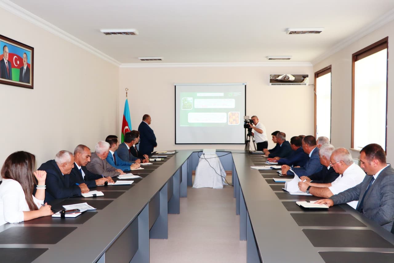 Naxçıvanda ən yüksək əkin subsidiyası məbləğləri təyin edilib
