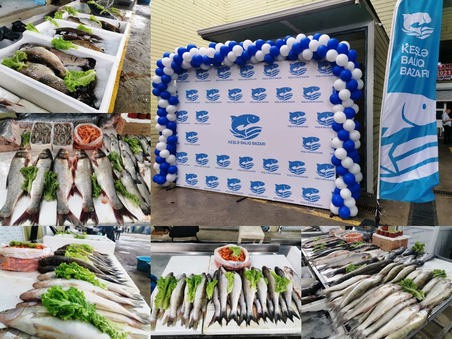 Əhali üçün balıq məhsulları bazar qiymətindən 25–30% ucuz təklif olunur