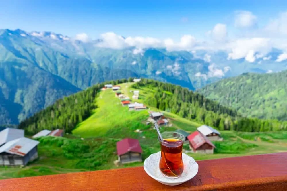 Payızda Türkiyədə səyahət: Ağva, Yedigöller, Maşukiyə, Kapadokya və Çamlıhemşin