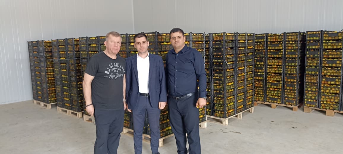 “Azexport” portalı nar, xurma və sitrus məhsulları Belarusa ixrac edib