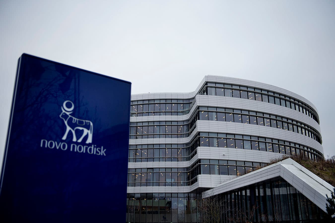 Novo Nordisk əsas səhmdar ilə fikir ayrılıqları səbəbindən İdarə Heyətinin başçısını dəyişdirəcəkdir