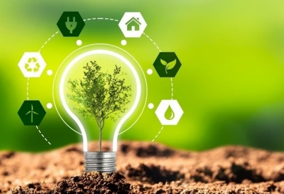 Azərbaycanın "yaşıl enerji"yə keçid siyasətində perspektivlər və çətinliklər