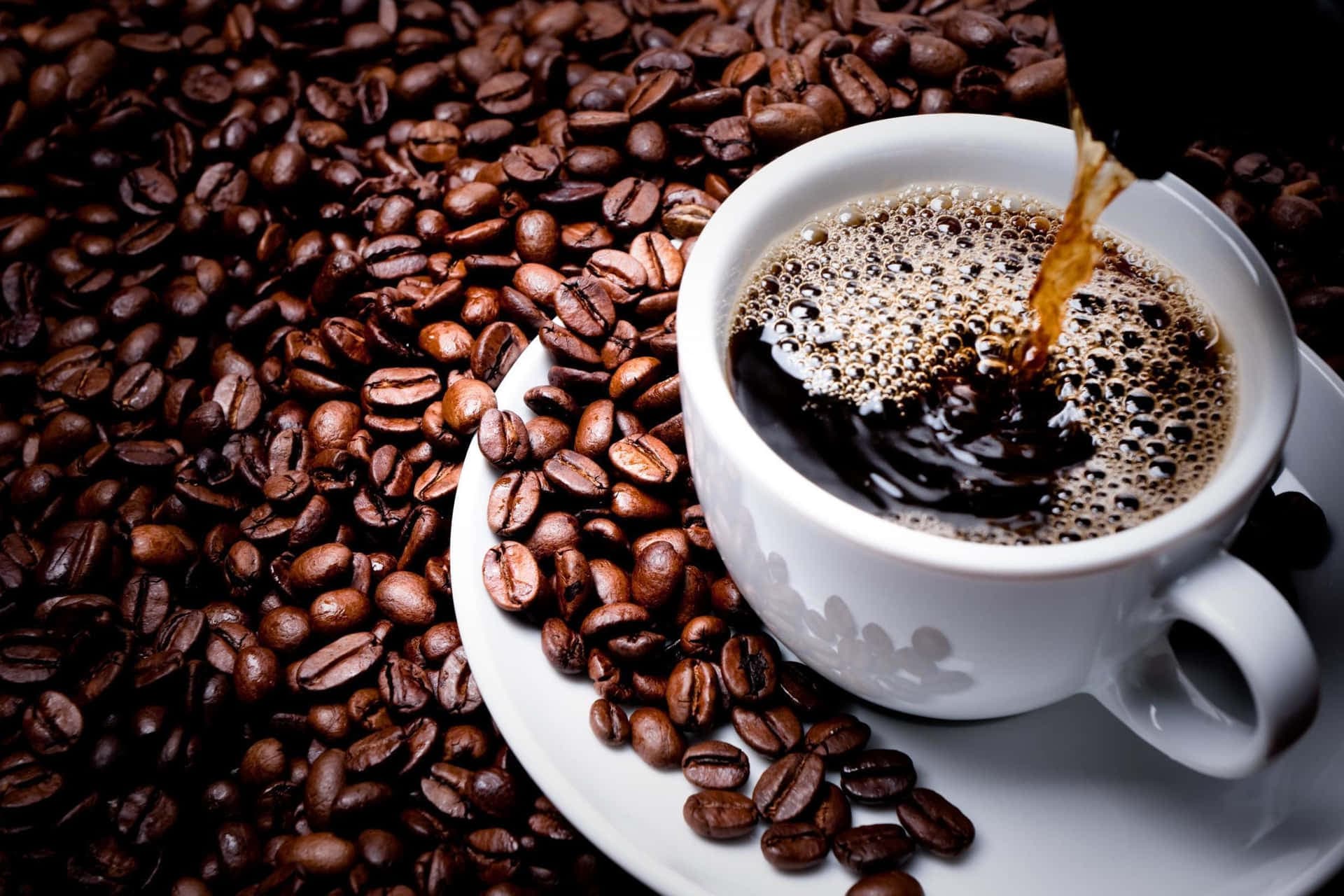 Arabica və Robusta qəhvəsi kəskin ucuzlaşıb