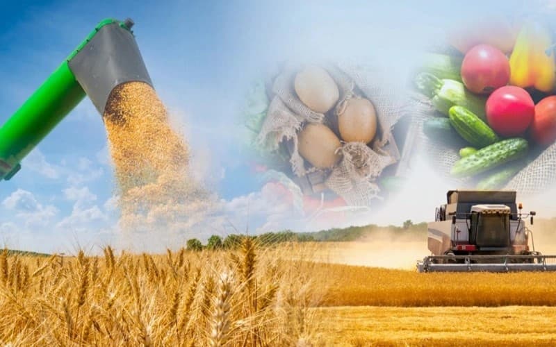 Azərbaycan kənd təsərrüfatının ümumi məhsulu 12,53 milyard manat olub