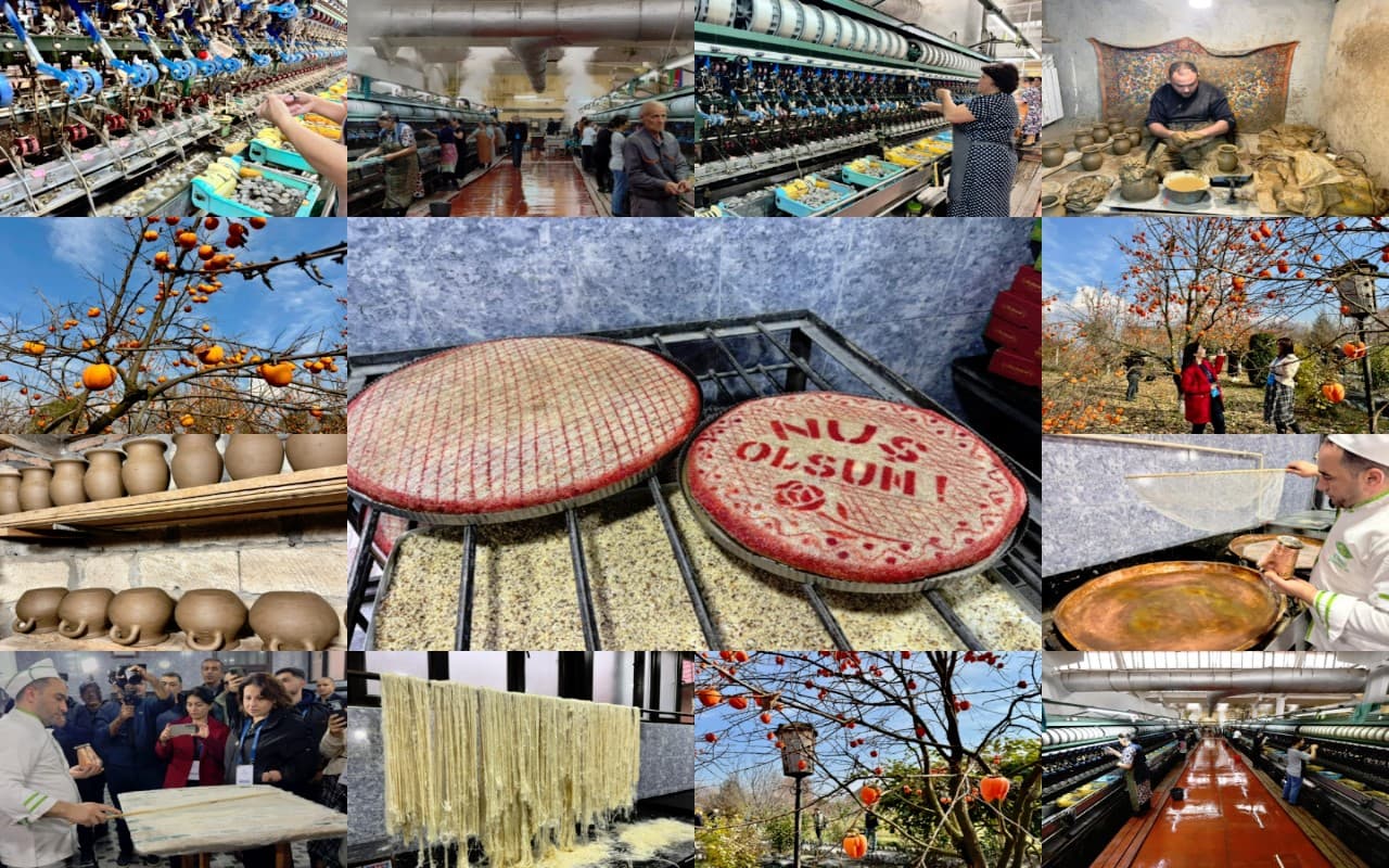 Şəkidə turizm infrastrukturu sürətlə inkişaf edir: Aqroturizm gəlirlərə töhfə verir