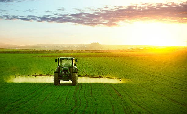 2025-ci il üçün Rusiya kənd təsərrüfatı ixrac proqnozu açıqlandı