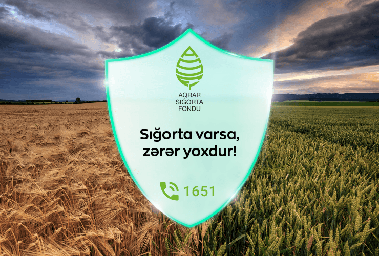 2025-ci ildə fermerlərə 9 milyon manatdan çox sığorta ödənişi edilib