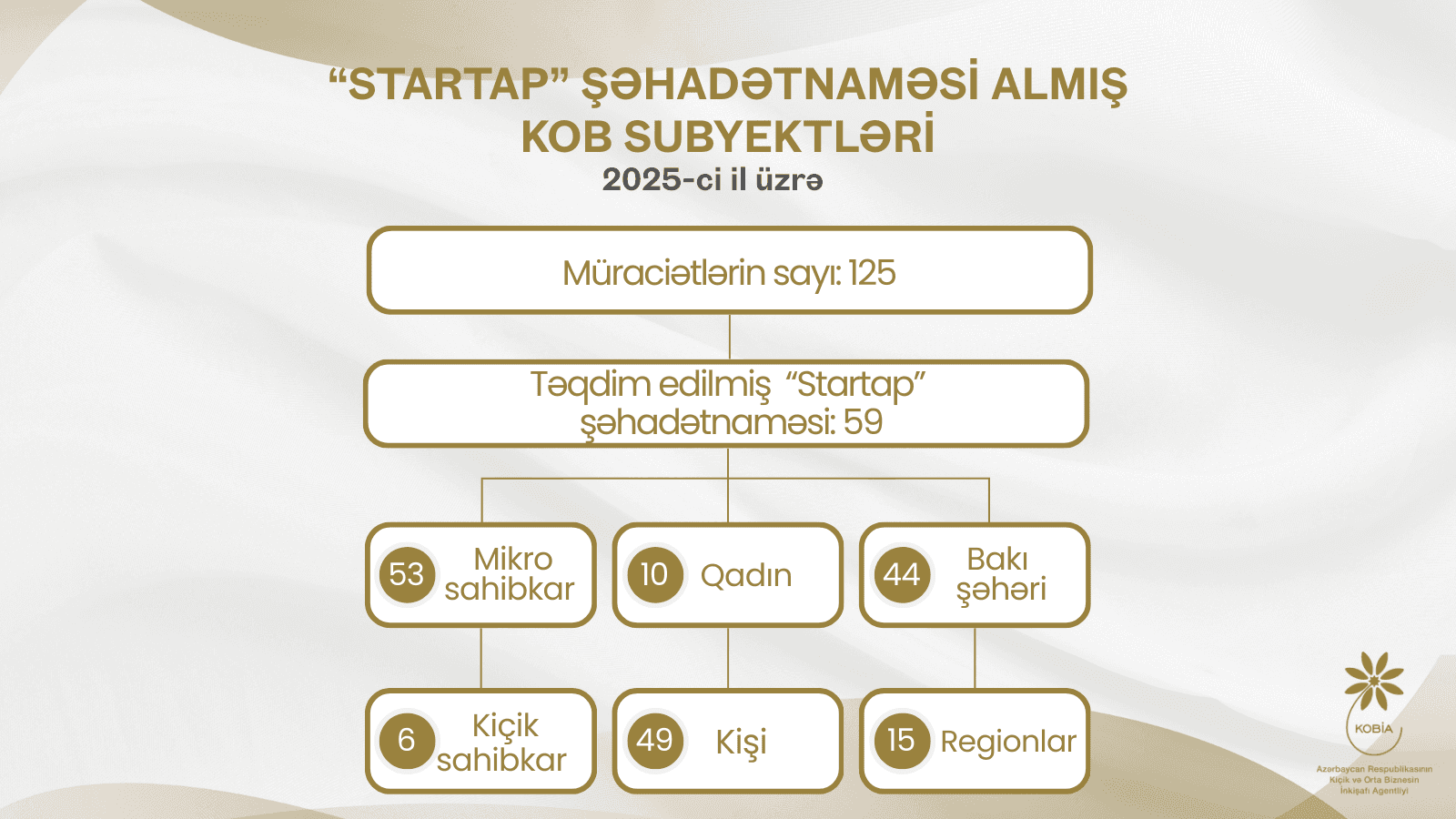 2025-ci ildə 59 mikro və kiçik sahibkar innovativ layihələr üzrə vergi güzəştləri əldə edib
