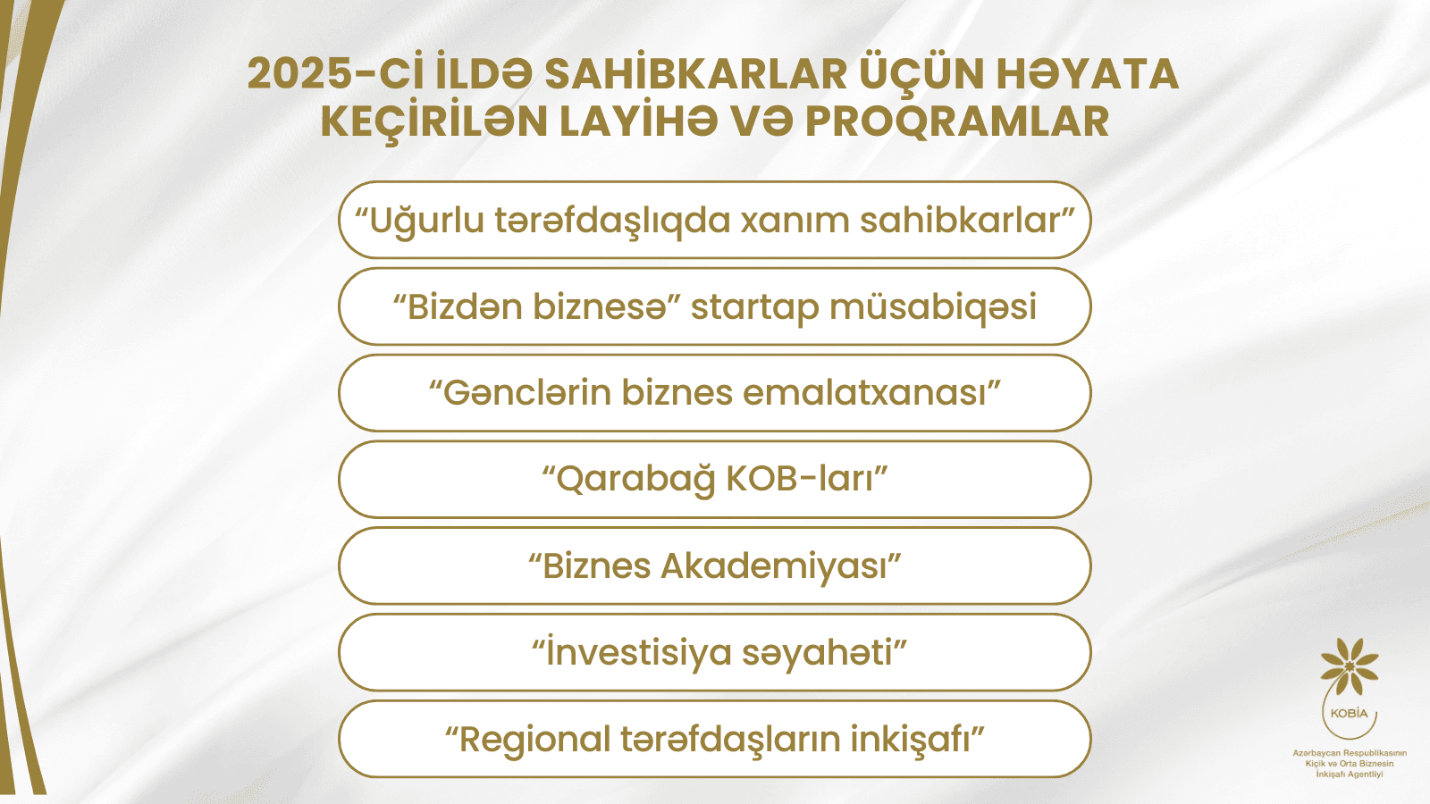 2025-ci ildə sahibkarlar üçün bir sıra layihə və proqramlar icra edilib