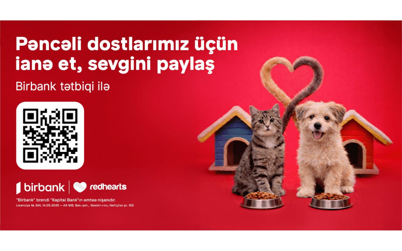 "Pəncəli Ürəklər” sahibsiz heyvanlara dəstək aksiyası uğurla davam edir