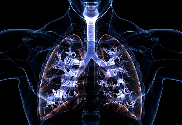Sionna Therapeutics CF layihələrini davam etdirir və $135 milyon IPO ilə maliyyələşir