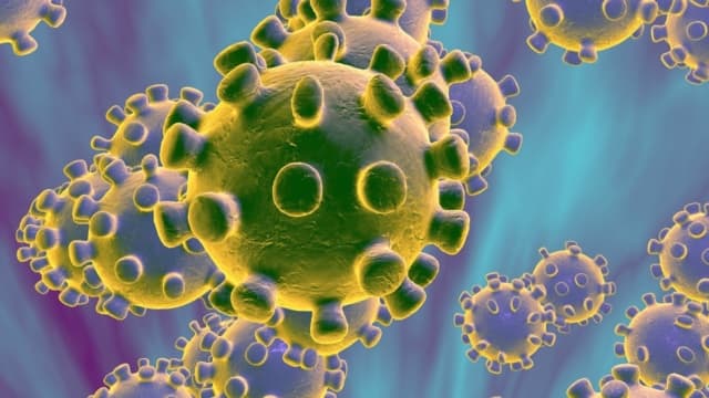Koronavirus texnologiya şirkətlərinə necə təsir edib Koronavirus texnologiya şirkətlərinə necə təsir edib