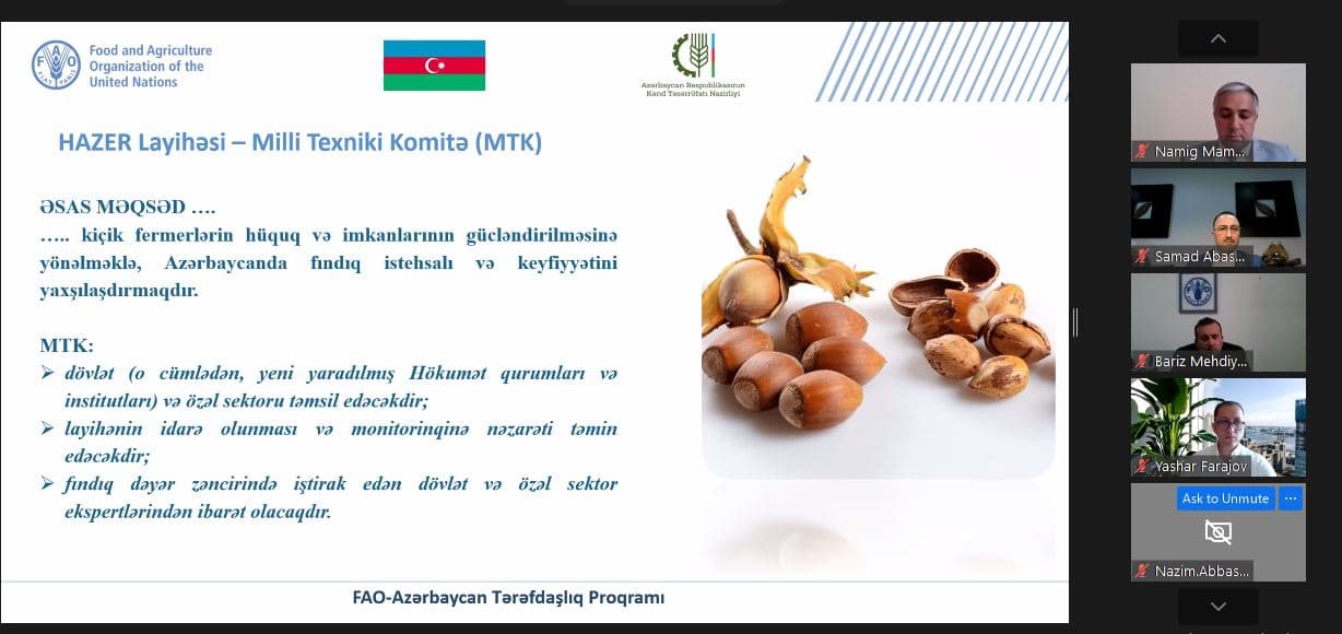 Milli Texniki Komitənin ilk onlayn tədbiri keçirilib Milli Texniki Komitənin ilk onlayn tədbiri keçirilib