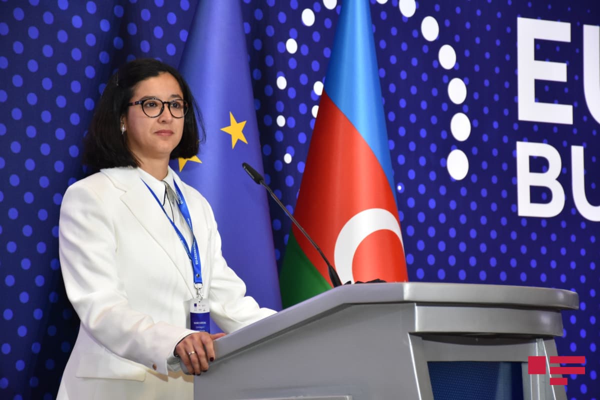 "Aİ-Azərbaycan Biznes Mühiti Hesabatı 2021" sənədi təqdim olunub "Aİ-Azərbaycan Biznes Mühiti Hesabatı 2021" sənədi təqdim olunub
