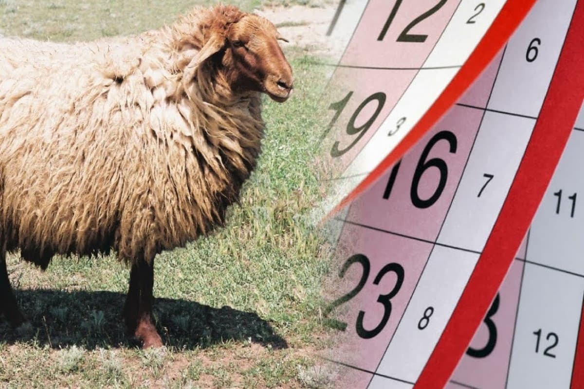 Gələn ay ardıcıl 4 gün iş olmayacaq Gələn ay ardıcıl 4 gün iş olmayacaq