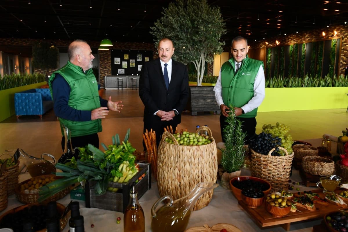 Prezident Zirədə zeytun emalı zavodunun açılışında iştirak edib Prezident Zirədə zeytun emalı zavodunun açılışında iştirak edib
