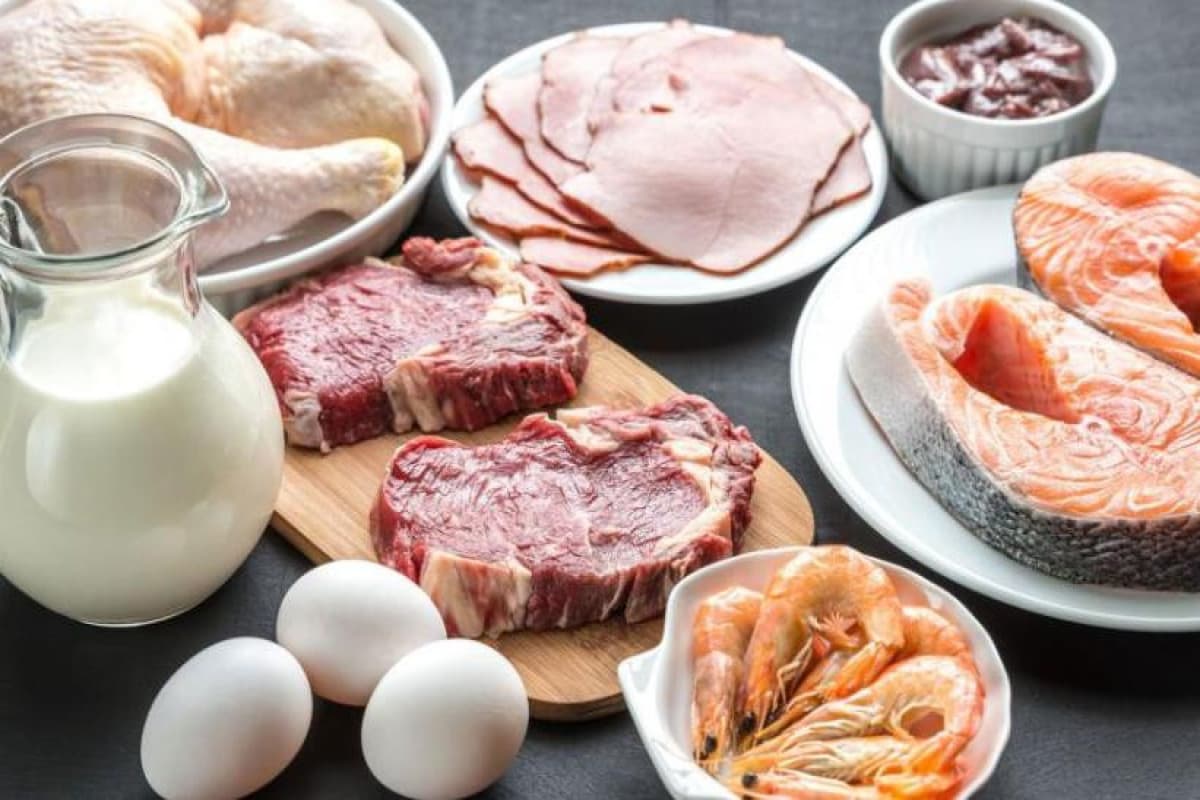 Azərbaycanda ət, süd və yumurta istehsalı artıb Azərbaycanda ət, süd və yumurta istehsalı artıb