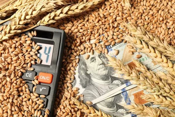 Qazaxıstandan Azərbaycana buğda ixracı 126,9 min ton təşkil edib Qazaxıstandan Azərbaycana buğda ixracı 126,9 min ton təşkil edib