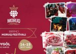 Göygöldə “Moruq Festivalı” keçiriləcək