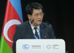 COP29: Cənubi Koreya 2030-cu ilə qədər şəhər yaşıllıqlarını artırmağı planlaşdırır