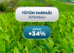 Yaş tütün istehsalında 34% artım qeydə alınıb