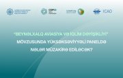 COP29: Aviasiya sahəsində "Net Zero" hədəfi