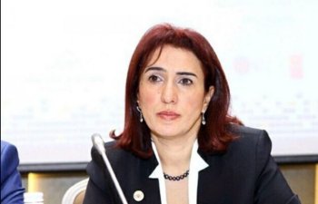 “Azərbaycanda mikrokredit alanların 30%-i qadınlardır”