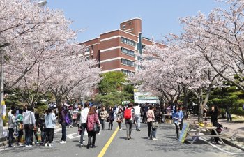 Koreya universitetlərində beş sahə üzrə magistr proqramları elan edilib