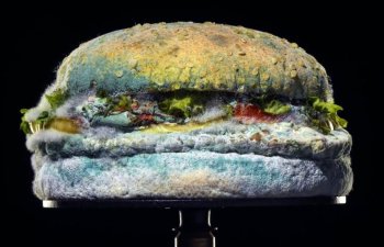 Burger King təqdim edir: Kifli Whopper – Video