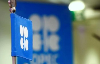 Nazir: OPEC ölkələri neft hasilatının azaldılması ilə bağlı vahid mövqe ortaya qoyacaq