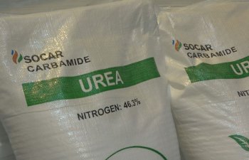 SOCAR neft və neft-kimya məhsullarının ixracını 17% artırıb