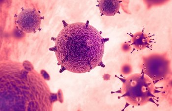 Alimlər: Koronavirus yüksək istilikdə də yaşayır