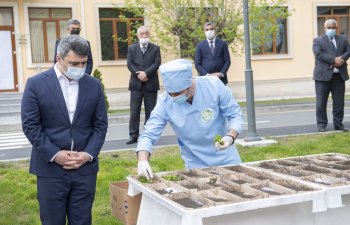 20 min qutu hibrid ipəkqurdu sənaye toxumlarının kümçülərə paylanmasına başlanılıb - FOTO