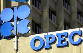 OPEC: Neft bazarı ilin ikinci yarısında sabitləşəcək