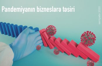 Pandemiya Azərbaycan bloggerlərinin fəaliyyətinə necə təsir edib?