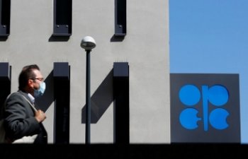 OPEC-in neft hasilatı artıb