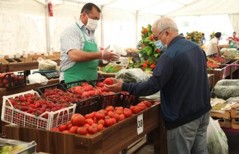 Paytaxtda “Kənddən Şəhərə” qış yarmarkası açılıb