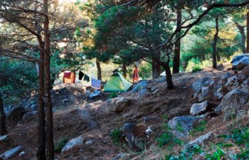 Sabahdan milli parklara getmək mümkün olacaq