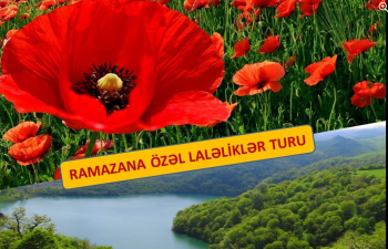 Ramazana özəl  Laləliklərlə dolu TURLAR