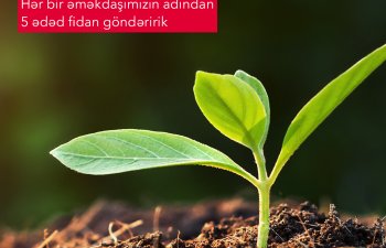 “AccessBank” Türkiyəyə 6000-dək ağac tingi bağışlayacaq